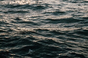 Fototapeta premium Deep Ocean Surface Ripples Reflecting Sunlight Golden Hour Glow
