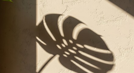 black and white background