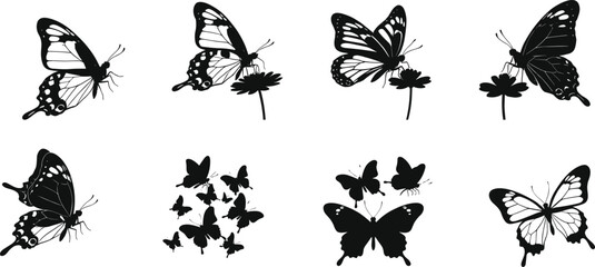 Set of eight butterfly silhouettes in flight and perched poses, nature vector icons for garden, pollination, and insect anatomy themes