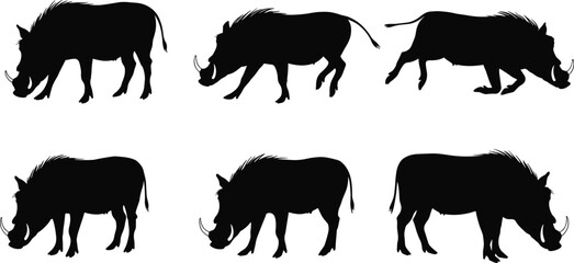 Warthog Silhouette Vector Set Featuring Grazing, Walking, Standing Poses – African Wildlife Animal Clipart for Nature and Design Use