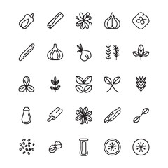 Kitchen Spices and Food Ingredients Icons Set in Modern Minimal Vector Style