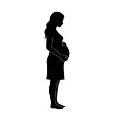 Pregnant woman silhouette side view gentle curve of expectant motherhood symbolizing life isolated on white background