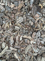 Close-up view of mulched wood chips for garden landscaping