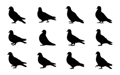 Pigeon Set Silhouette Vector Illustration