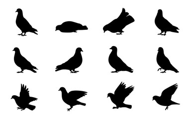 Pigeon Set Silhouette Vector Illustration