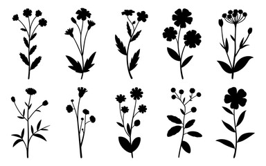 Wildflowers Silhouette Set Collection Vector Illustration