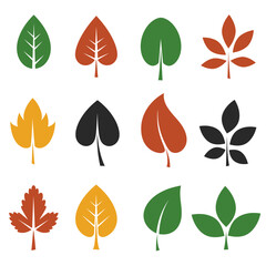 Fototapeta premium Diverse collection of stylized autumn leaves in various colors and shapes displayed row by row isolated on white background