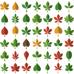 Collection of flat design autumn leaves in various shapes and colors for seasonal decor and design projects isolated on white background