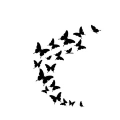 Elegant flock of black butterflies in dynamic flight silhouette design isolated on white background