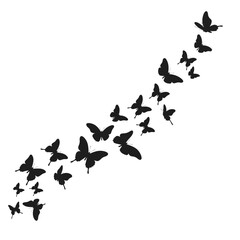 Elegant swarm of black butterflies in flight creating a dynamic flowing pattern isolated on white background