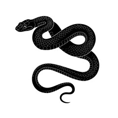 Detailed black snake silhouette coiled and ready to strike in a classic stylized design isolated on white background