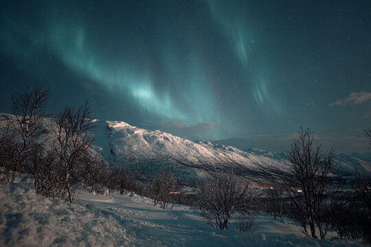 Northern lights over snowy landscape, glowing colors in dark sky, magical winter scene