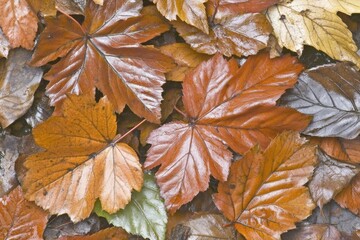 Close-up of fallen autumn leaves.  Various shades of brown, orange, and gold foliage cover the ground