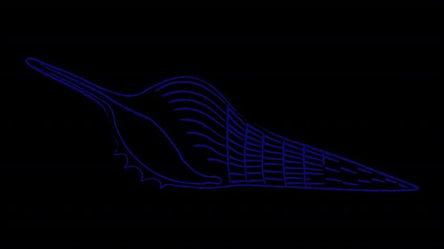 Animated sketch of a shell with a dry pastel texture. Alpha channel