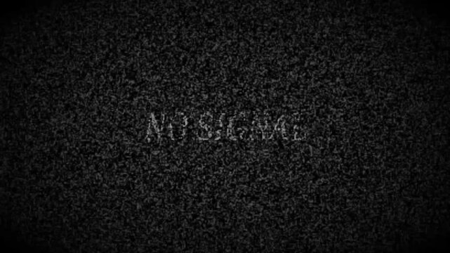 A grainy, black and white image with the words no signal faintly visible in the center, evoking a sense of technological malfunction, digital disruption, and the absence of communication, creating a s