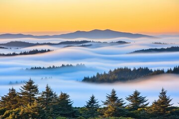 Obraz premium Sunrise over misty mountain range with coniferous forests