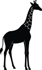 Black giraffe silhouette vector illustration of a wild mammal
