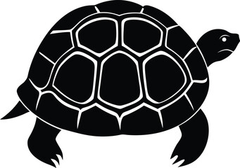 A cute cartoon turtle vector illustration of a slow reptile with a shell, isolated on a white background