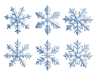 Six detailed, digitally-rendered snowflakes on a black backdrop