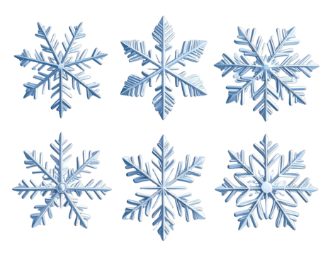 Six detailed, digitally-rendered snowflakes on a black backdrop