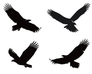 Obraz premium Four distinct silhouettes of eagles captured in mid-flight display their powerful wings and elegant forms against a white background, emphasizing their majesty.