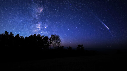 Fototapeta premium Milky Way stars, planets, comets and meteor shower trails and countryside tree silhouettes.