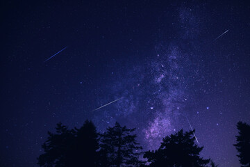 Milky Way stars with meteor shower trails and scountryside tree