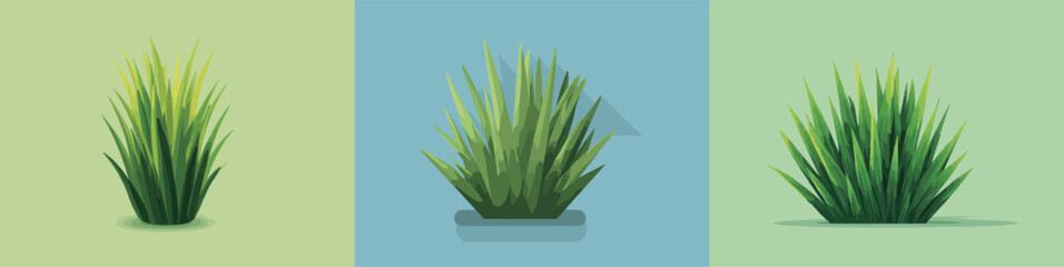 Lush green grass is displayed in a container with varied backgrounds of light green and blue. The vibrant hues enhance the freshness of the grass.