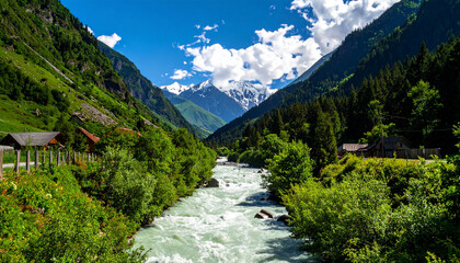 Verdant mountain valley with rushing river and snow capped peaks image