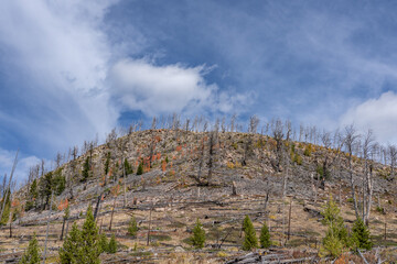 Nine Mile Trailhead. U.S. Route 14 or U.S. Highway 14 (US 14). Yellowstone National Park, Wyoming.