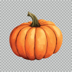 Pumpkin halloween illustration