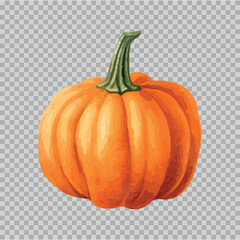 Pumpkin halloween illustration