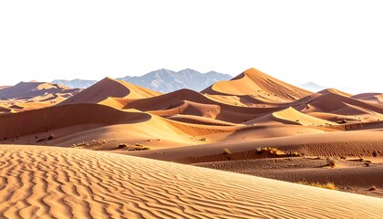 Expansive view of sand dunes under a bright sky, with mountains visible in the distance. Warm light bathes the undulating landscape