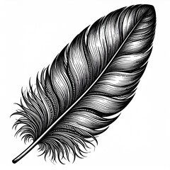 Detailed black and white feather graphic (1)