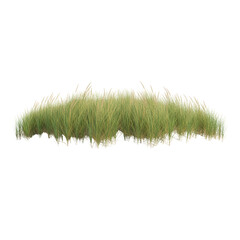 Patch of Ornamental Grass Against an Isolated Void, Perfect for Compositing and Design Elements