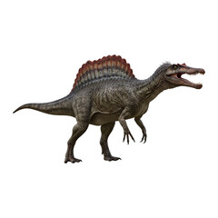 White chef hat on transparent background PNG Generative AI