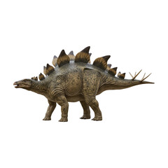Fototapeta premium Stegosaurus dinosaur on transparent background PNG Generative AI