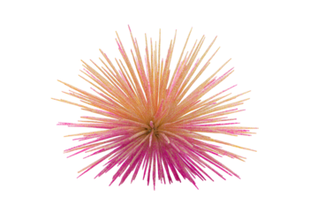 Vibrant abstract starburst explosion with pink and gold glitter particles radiating outwards