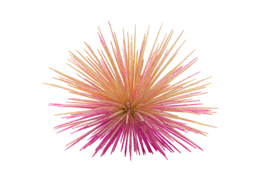 Vibrant abstract starburst explosion with pink and gold glitter particles radiating outwards