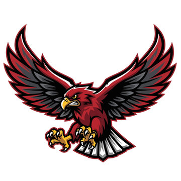 Fierce red hawk swooping down ready to strike with intense eyes and sharp talons, perfect for sports team logos or bold branding with powerful design elements