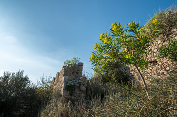 Vegetation is taking over the castle ruins in Peloponnes, Greece