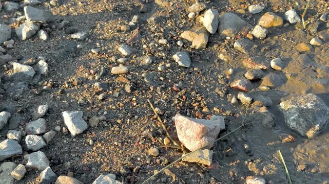 Pile of rocks on the sand, close-up, macro beach landscape