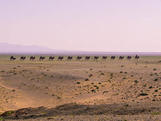 Camel nomads monument, Gobi Desert, Mongolia