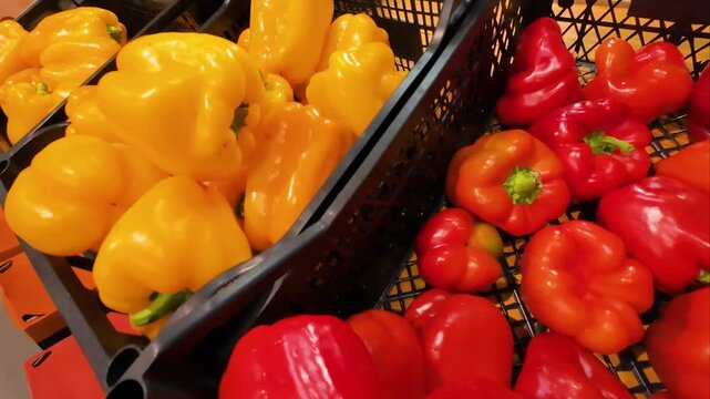 Yellow and red round sweet peppers in plastic boxes at the supermarket.