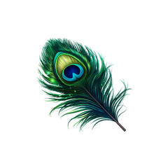 Obraz premium Green peacock feather on white background