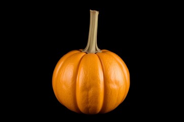 Warty Sentinel: Orange Gourd with Twisted Stem