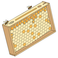 Wooden beehive frame filled with honeycomb and two bees insect apiary
