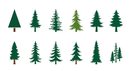 Obraz premium evergreen tree collection for festive designs or nature themed projects