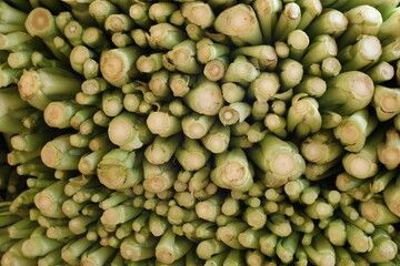 close up of choy sum vegetable stem