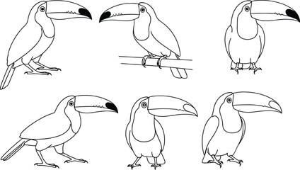 Toucan bird illustration, tropical wildlife drawing, exotic animal sketch, black and white vector, perched toucan pose, nature art collection